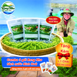 Combo 3 gói Rong Nho tách nước Ninh Hoà