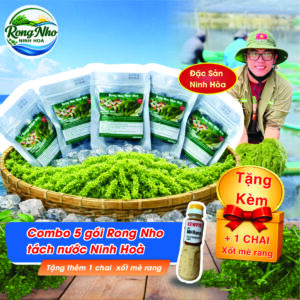 Combo 5 gói Rong Nho tách nước Ninh Hoà